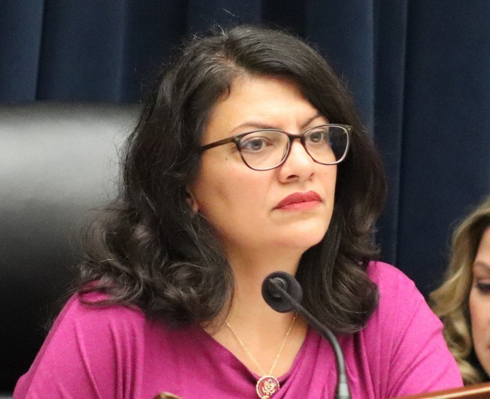 “house Negroes” Vow To Unseat Rep. Rashida Tlaib - We Must Resist