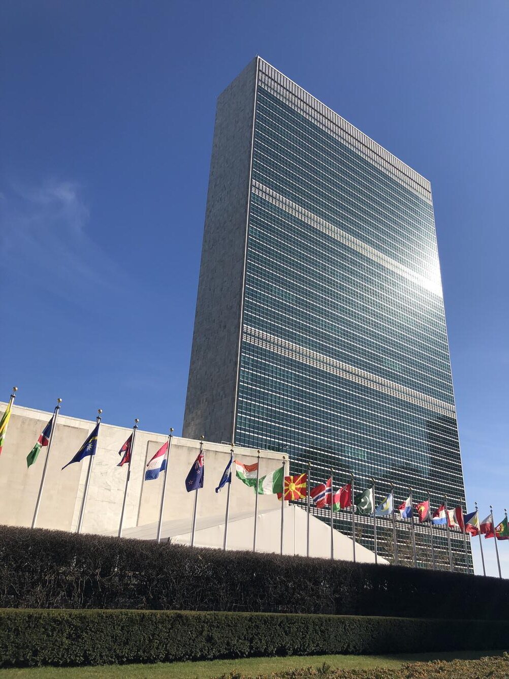 The UN at 81: Diagnosis for a Sustainable Future
